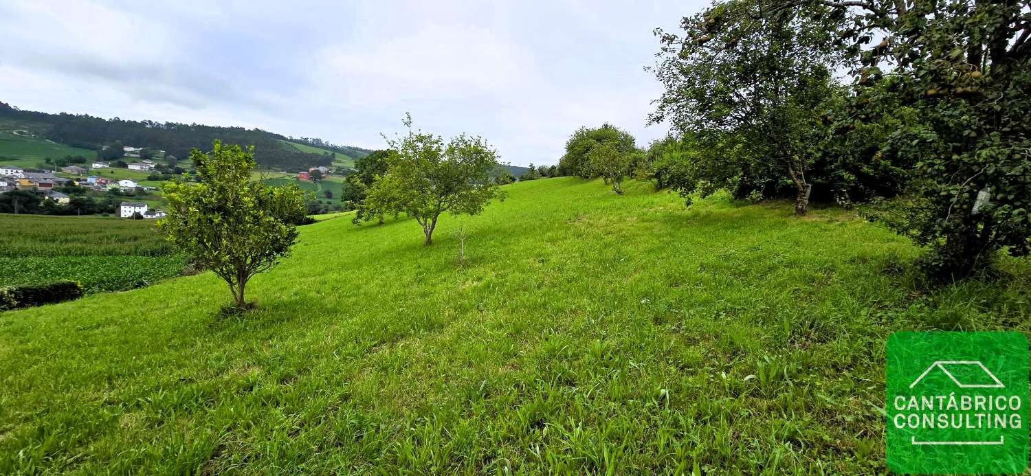 NAVIA  - ASTURIAS - CASA TRADICIONAL LISTA PARA HABITAR EN EL TOURAL