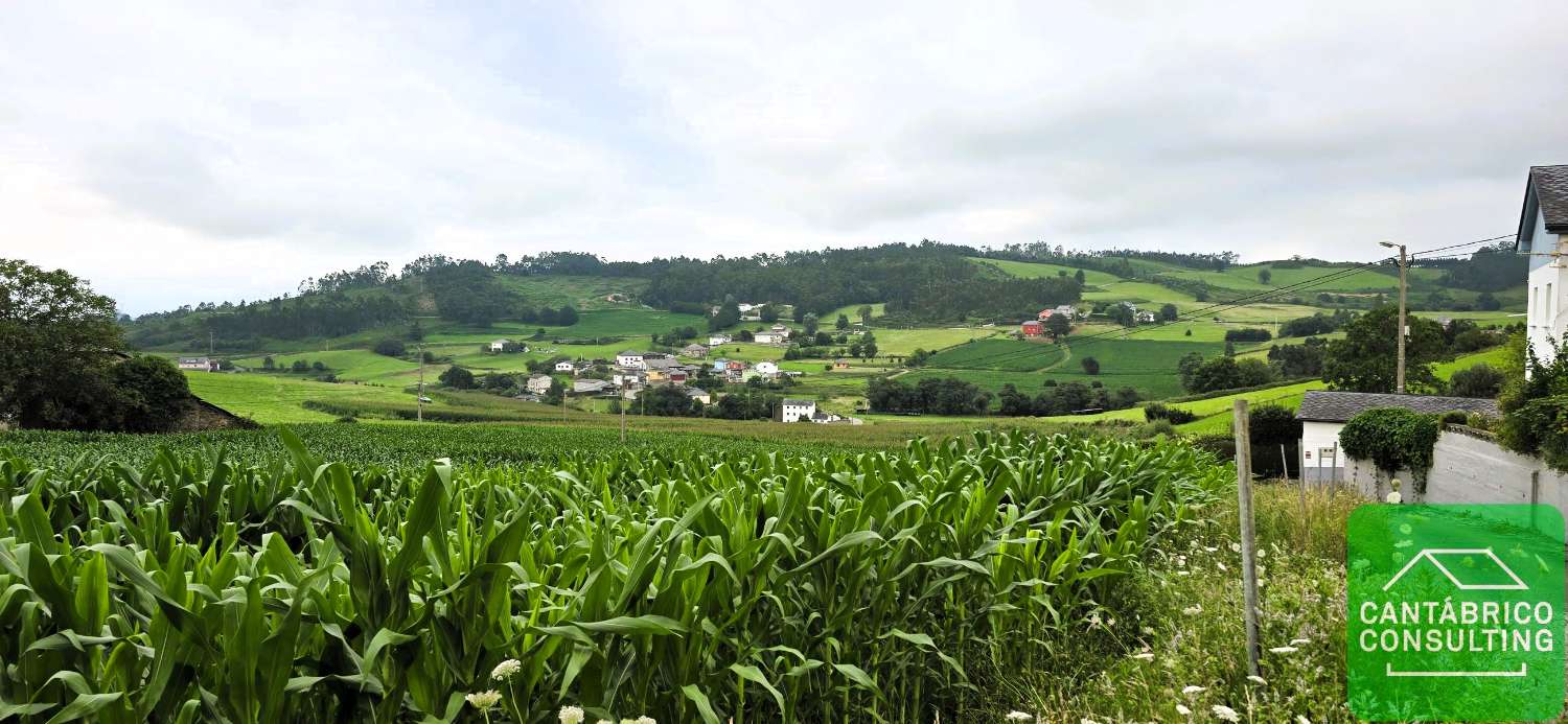 Maison en vente à Navia