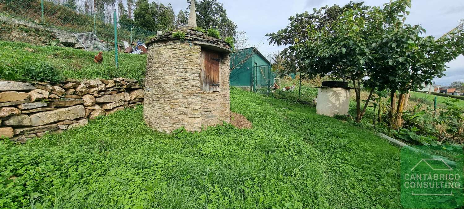 CHALET DE DOS PLANTAS EN FINCA DE 14000 m² EN SAN VICENTE DE CUBELAS, RIBADEO.