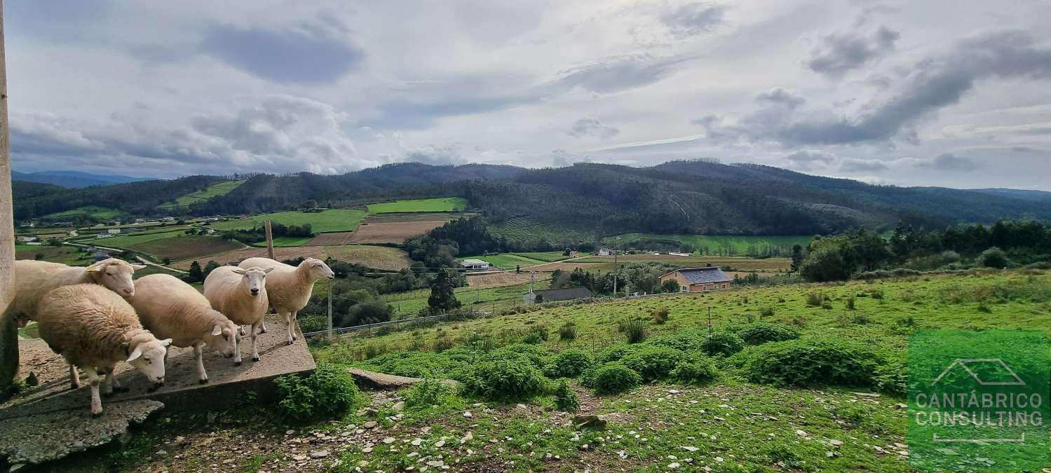 木屋 出售 在 Ribadeo