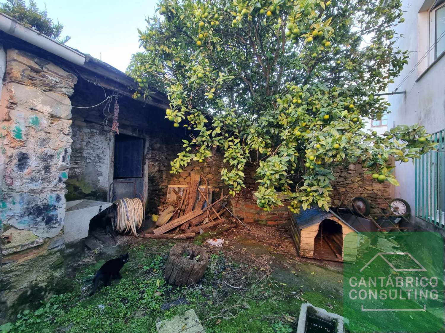 Maison en vente à Castropol