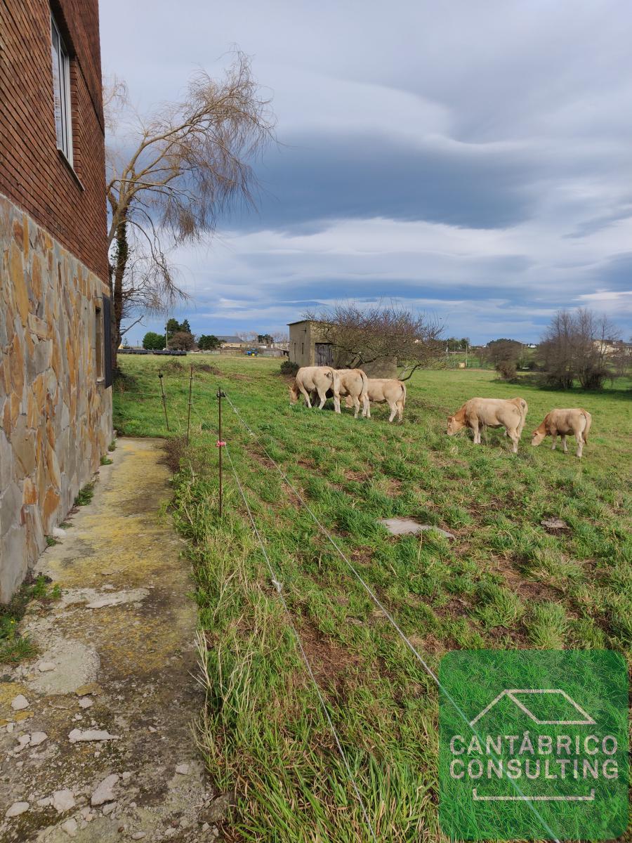 Chalet in vendita a Ribadeo