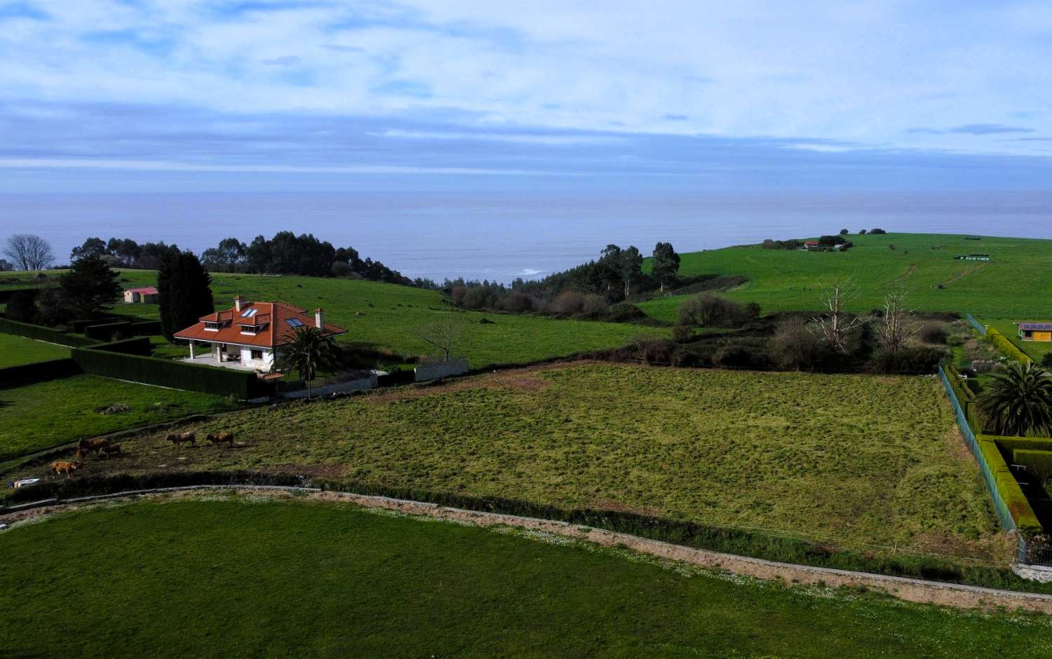 PARCELA EDIFICABLE PARA UNIFAMILIAR EN ALBUERNE - CUDILLERO - ASTURIAS