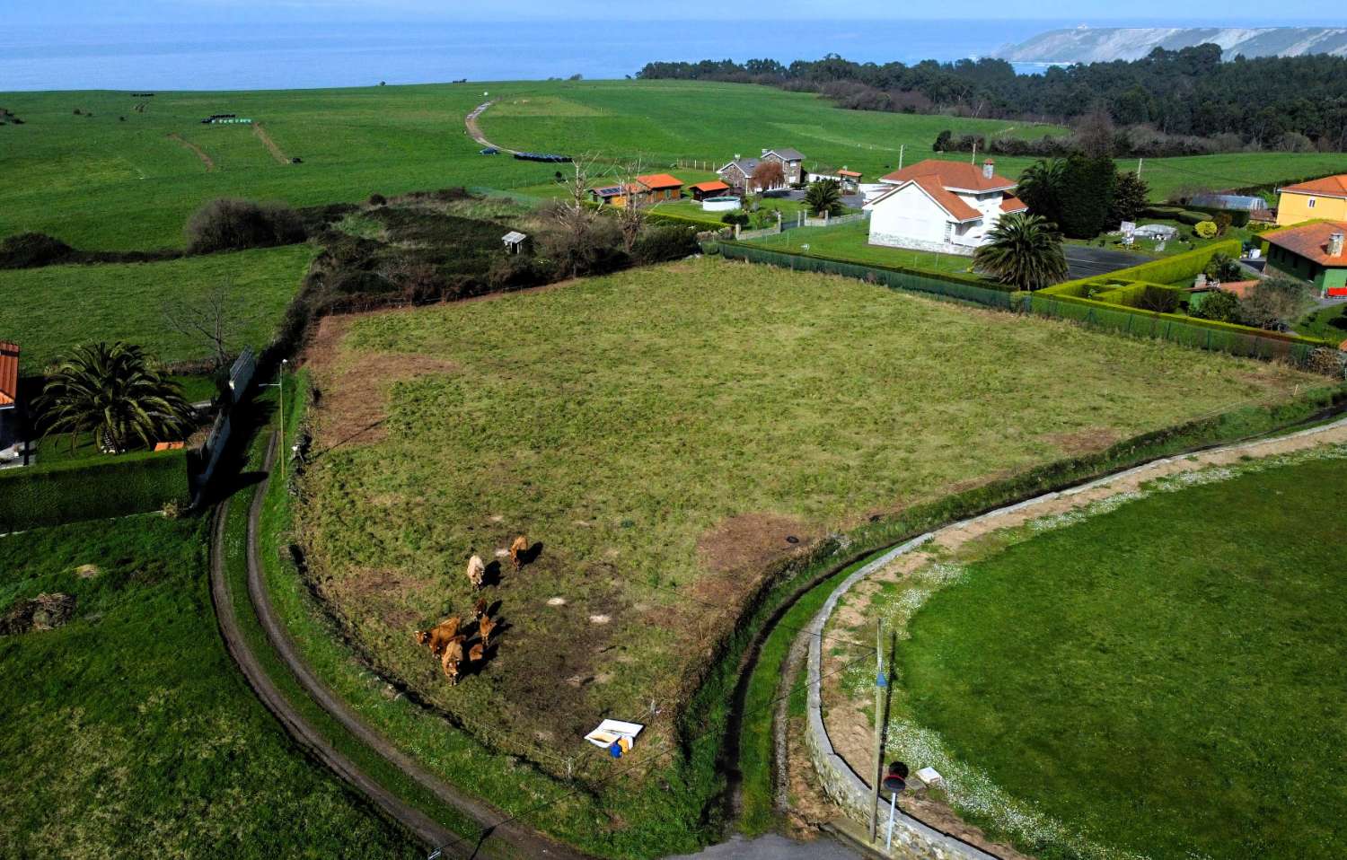 PARCELA EDIFICABLE PARA UNIFAMILIAR EN ALBUERNE - CUDILLERO - ASTURIAS